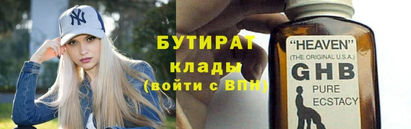 сатива Куйбышев