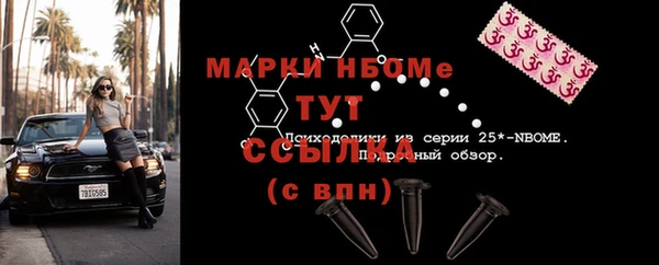 сатива Куйбышев