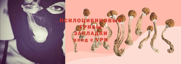 СК Красноперекопск