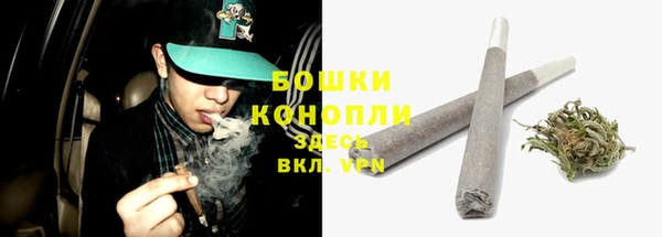 сатива Куйбышев