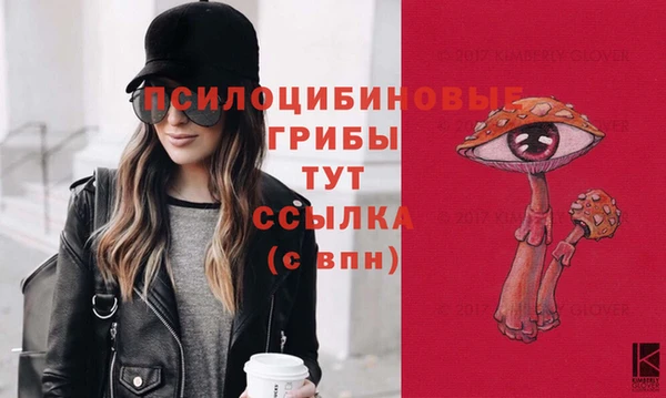 сатива Куйбышев
