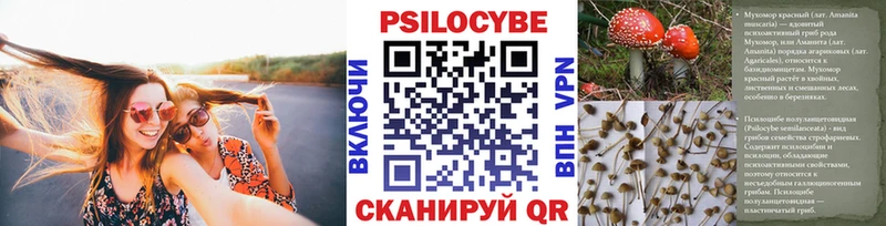 Купить  Бакал  Псилоцибиновые грибы GOLDEN TEACHER 