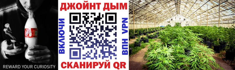 Бошки Шишки THC 21%  Купить где  Бакал 